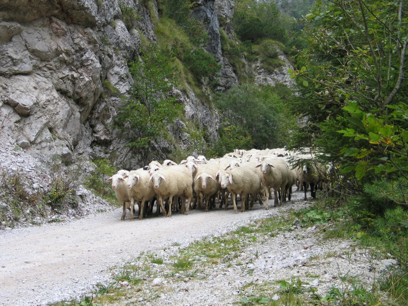 Vsako uro nova slika